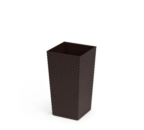 1754921981-5789-image-6_converted.png