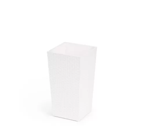 1754921984-5790-image-6_converted.png