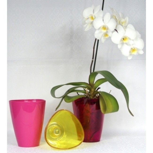 gorshok-orhideya-treugolnij-prozrachnij.jpg
