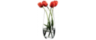 image1138.png