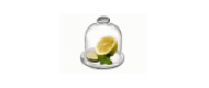image1154.png