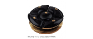 image1230.png