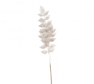 1754907561-700-image-6_converted.png