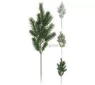 1754907591-711-image-6_converted.png