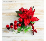 1754907618-721-image-6_converted.png