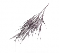 1754907667-739-image-6_converted.png
