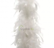 1754907870-815-image-6_converted.png