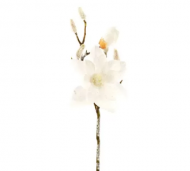 1754907950-844-image-6_converted.png