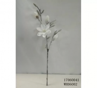 1754907953-845-image-6_converted.png