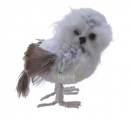 1754908118-906-image-6_converted.png
