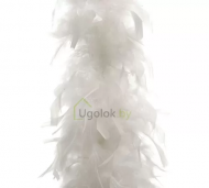 1754908754-1137-image-6_converted.png
