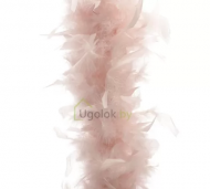 1754908757-1138-image-6_converted.png