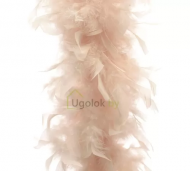 1754908759-1139-image-6_converted.png