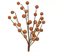 1754908855-1174-image-6_converted.png