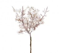 1754908906-1191-image-6_converted.png