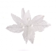 1754908940-1204-image-6_converted.png
