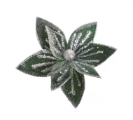 1754908951-1207-image-6_converted.png