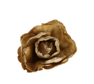 1754908977-1217-image-6_converted.png