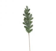 1754909061-1247-image-6_converted.png