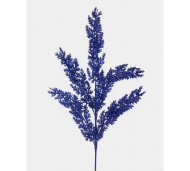 1754909069-1250-image-6_converted.png