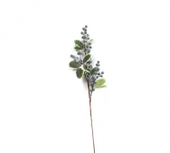 1754909088-1257-image-6_converted.png
