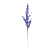 1754909093-1259-image-6_converted.png