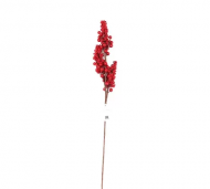 1754909096-1260-image-6_converted.png