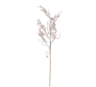 1754909101-1262-image-6_converted.png