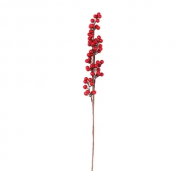 1754909107-1264-image-6_converted.png