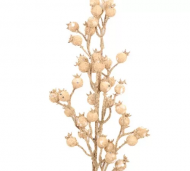1754909120-1268-image-6_converted.png