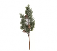 1754909136-1274-image-6_converted.png