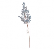 1754909147-1278-image-6_converted.png