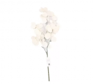 1754909155-1281-image-6_converted.png
