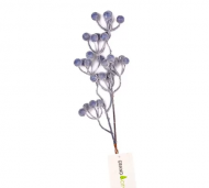 1754909165-1285-image-6_converted.png