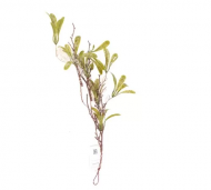 1754909173-1288-image-6_converted.png