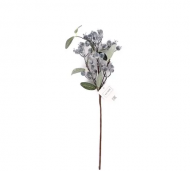 1754909178-1290-image-6_converted.png