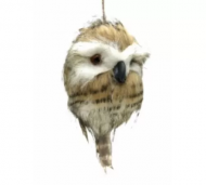 1754909456-1388-image-6_converted.png