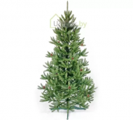 1754912209-2349-image-6_converted.png