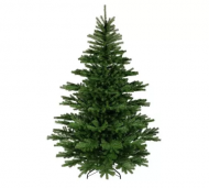 1754912287-2376-image-6_converted.png