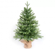 1754912306-2382-image-6_converted.png