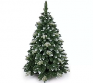 1754912346-2397-image-6_converted.png