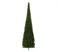 1754912427-2425-image-6_converted.png