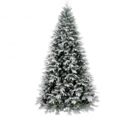 1754912460-2437-image-6_converted.png