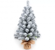 1754912484-2446-image-6_converted.png