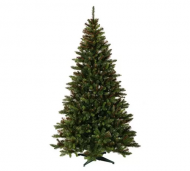 1754912517-2457-image-6_converted.png