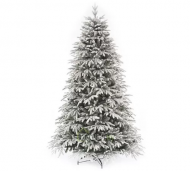 1754912545-2467-image-6_converted.png