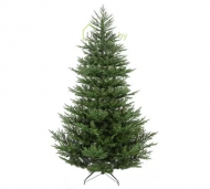 1754912622-2494-image-6_converted.png