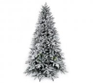 1754912747-2538-image-6_converted.png