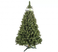 1754912757-2542-image-6_converted.png