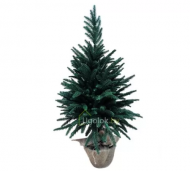 1754912813-2561-image-6_converted.png